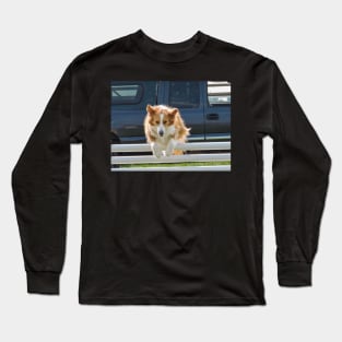 Dog jumping Long Sleeve T-Shirt